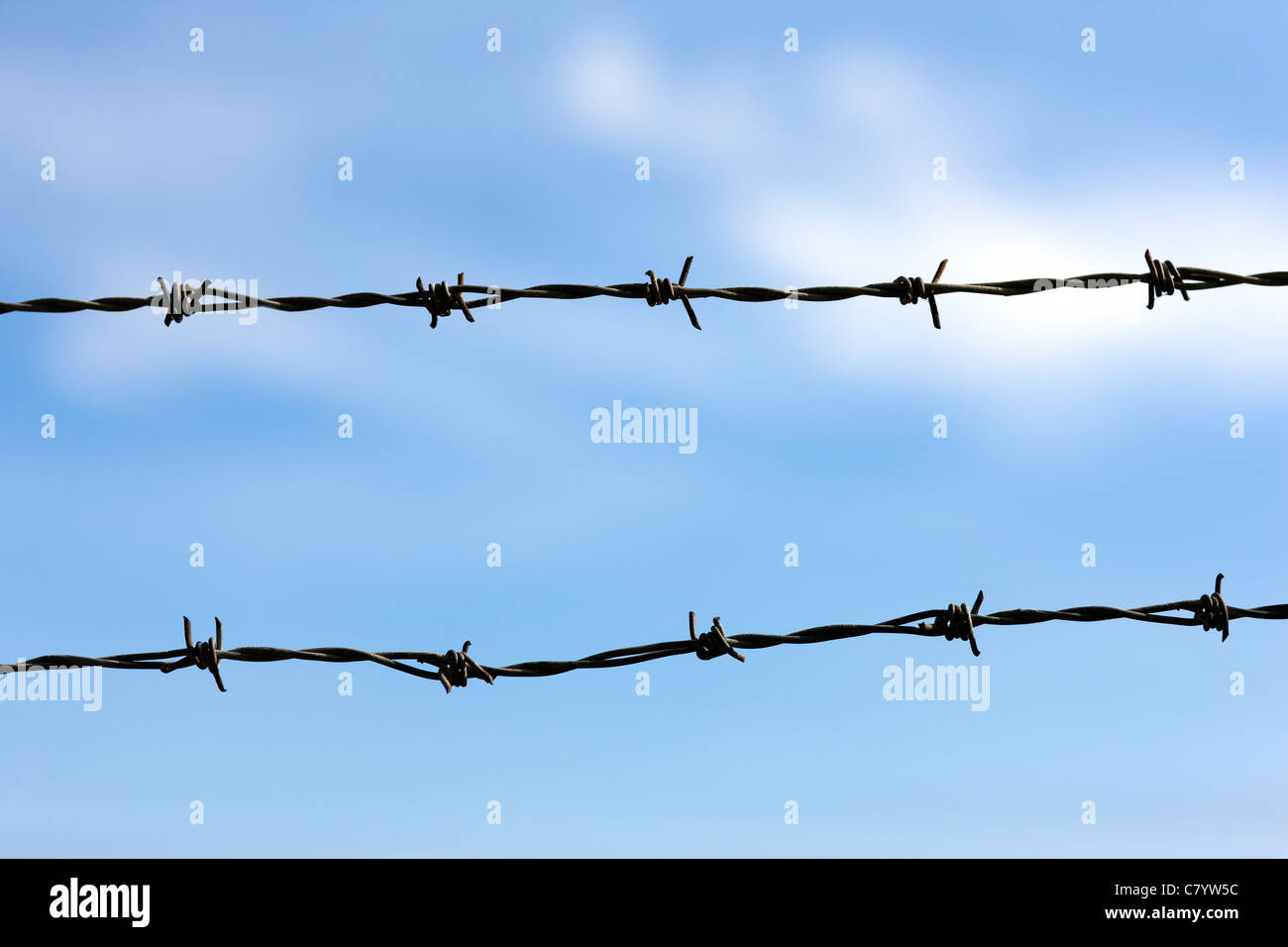 Two strands of barbed wire against a blue sky Stock Photo