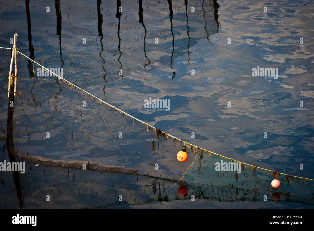 Fishing Weir lead line in the Bay of Fundy near Grand Manan Island Canada Stock Photo
