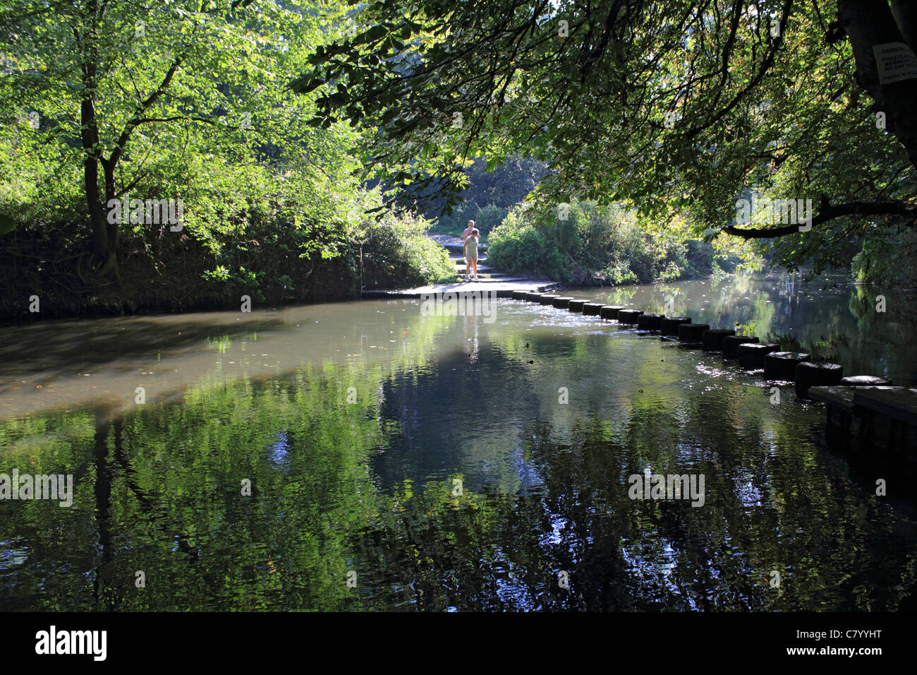 The stepping stones crossing the river Mole below Box Hill near Dorking Surrey England UK Stock Photo