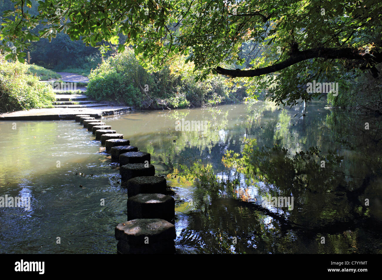 The stepping stones crossing the river Mole below Box Hill near Dorking Surrey England UK Stock Photo