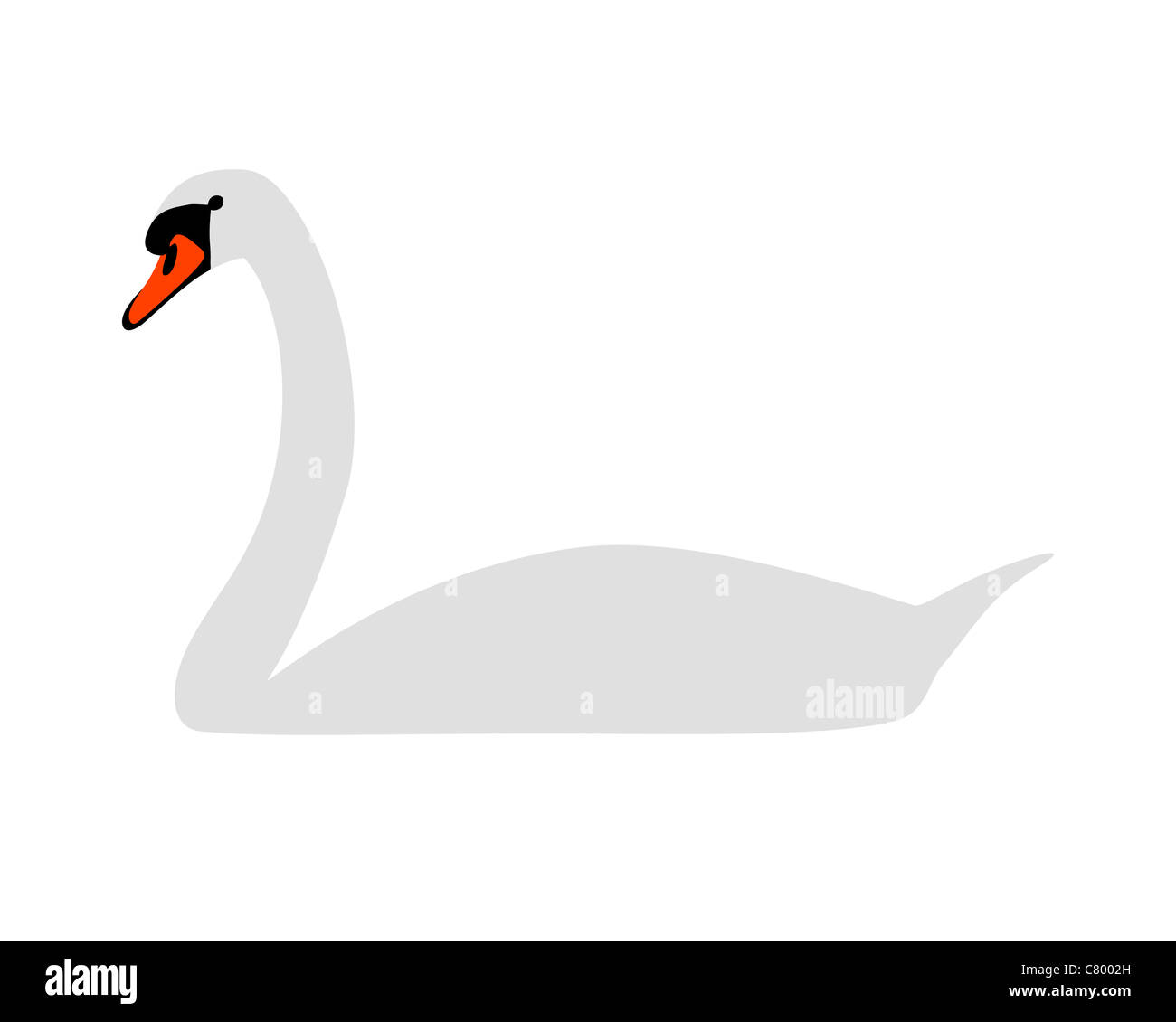White swan Stock Photo