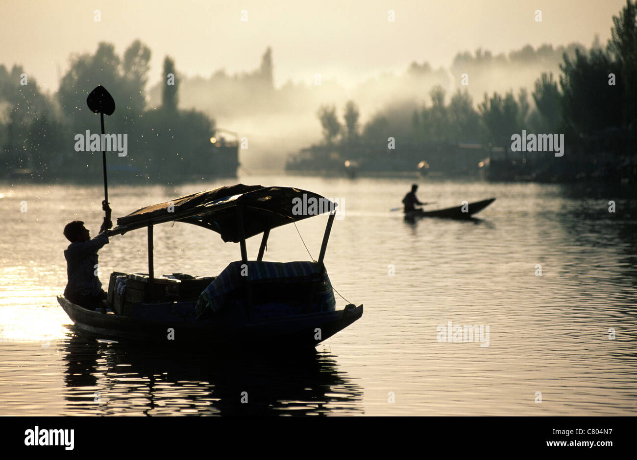 India, Kashmir, Srinagar, Shikara boats Stock Photo