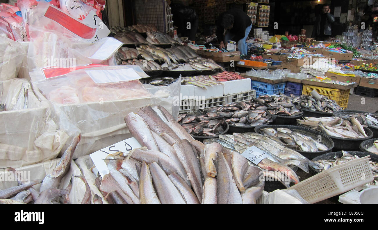 saler  street vendor in Damascus, Strassenverkäufer in Damaskus Syrien Syria fish Fisch Stock Photo