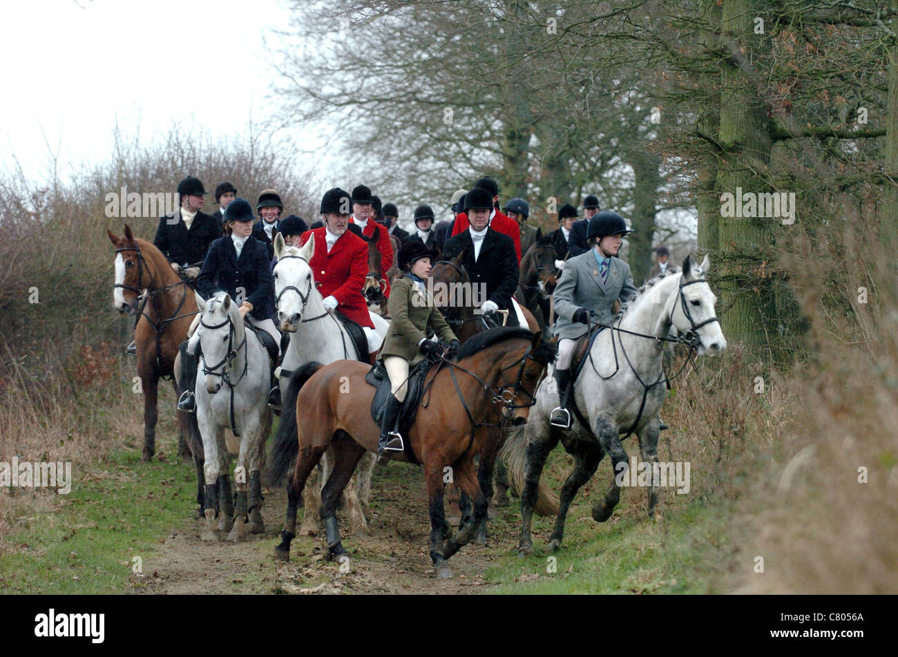 Members of the Chiddingfold  Leconfield and Cowdray Hunt at Petworth on the last day of fox hunting in 2005 Stock Photo
