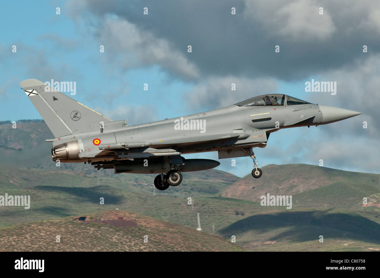 Eurofighter Aviation Art Spanish Air Force Ejército del Aire España Spain Print