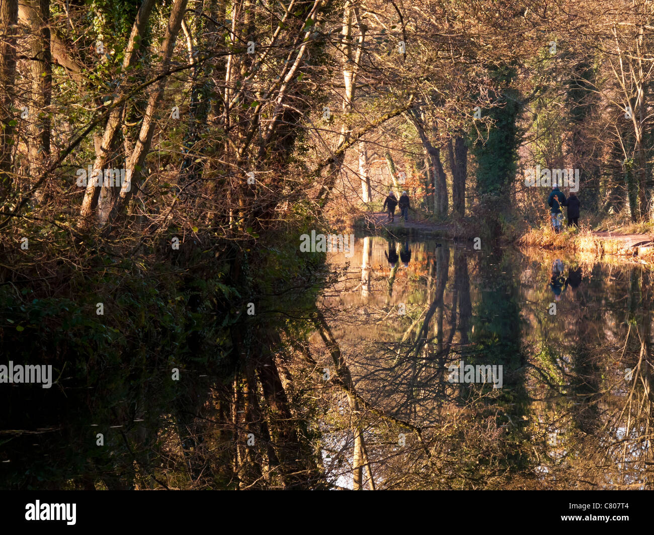 Autumn scene on the Cromford Canal near Matlock Bath in the Derbyshire Peak District UK with trees reflected in the still water Stock Photo