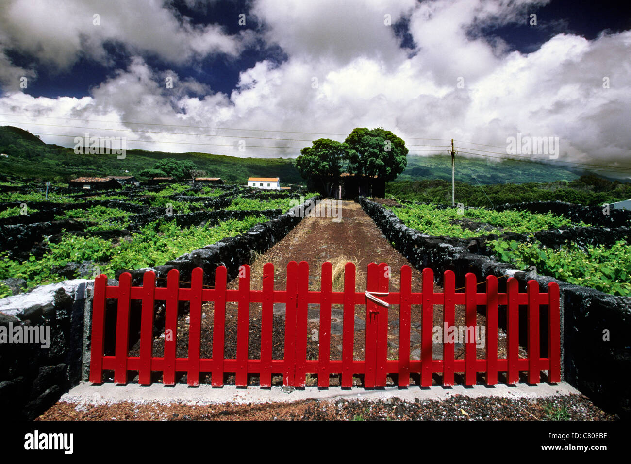 Azores, Pico Island, vineyards gate Stock Photo