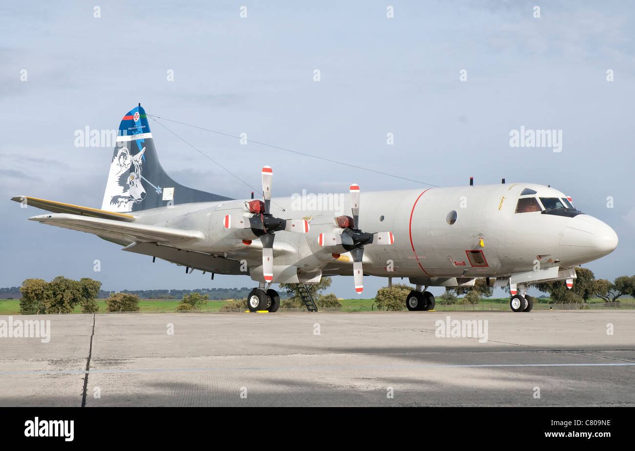 A Portuguese Air Force P-3C Cup Orion. Stock Photo