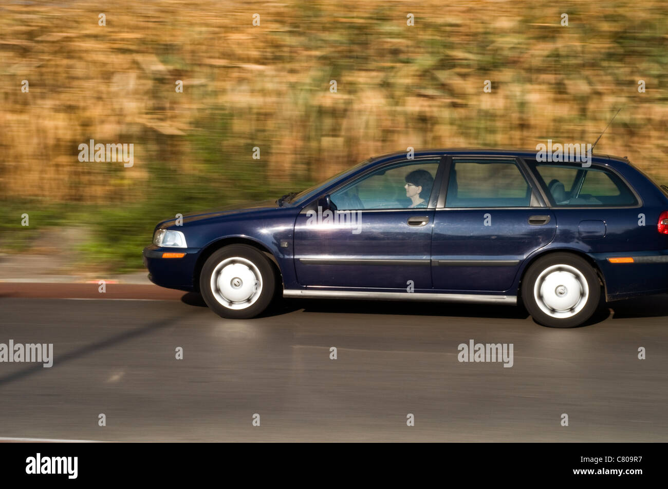 A car driving past a field of corn in the Netherlands Stock Photo Alamy