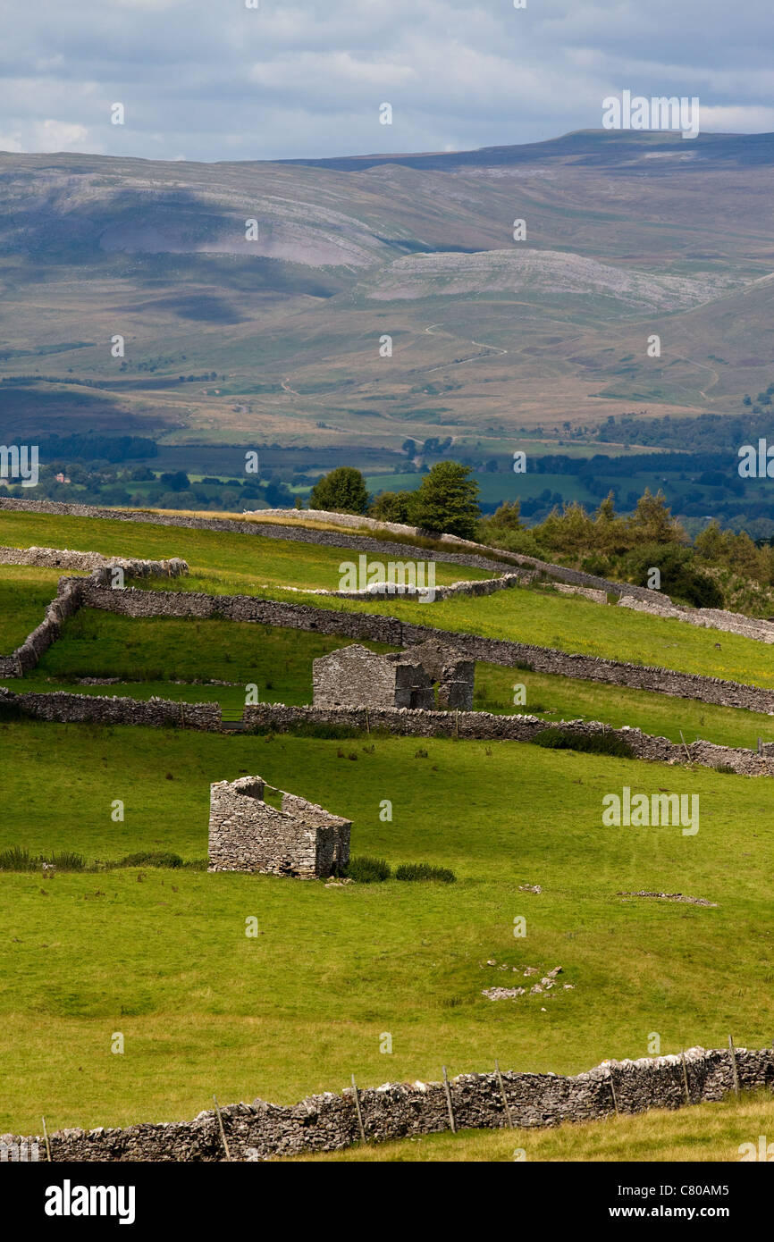 Stony Limestone Barns in the August Landscape and Countryside Nateby, nr Kirkby Stephen, Cumbria, UK Stock Photo