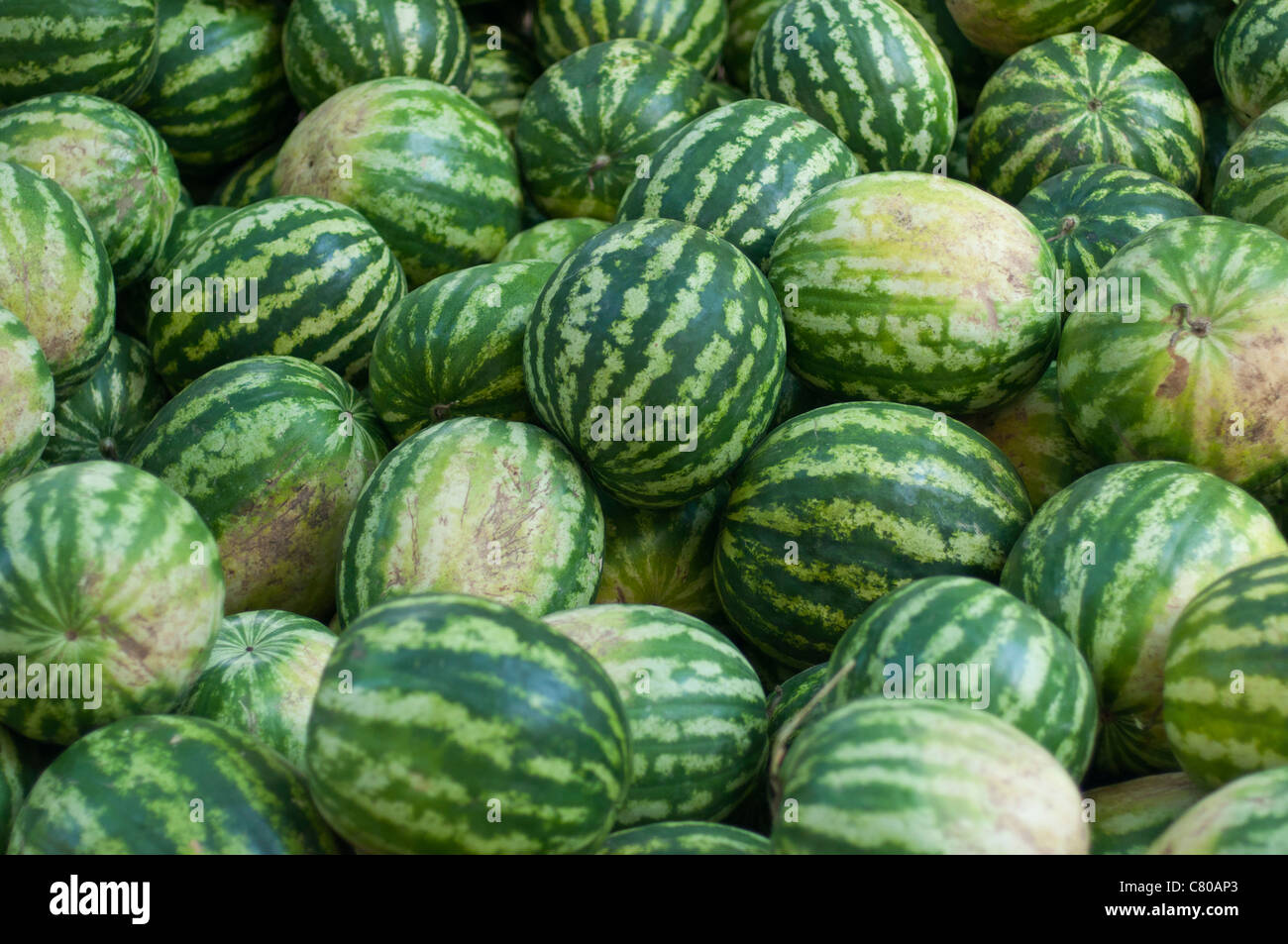 Water melons on sale in Istanbul, Turkey. Stock Photo