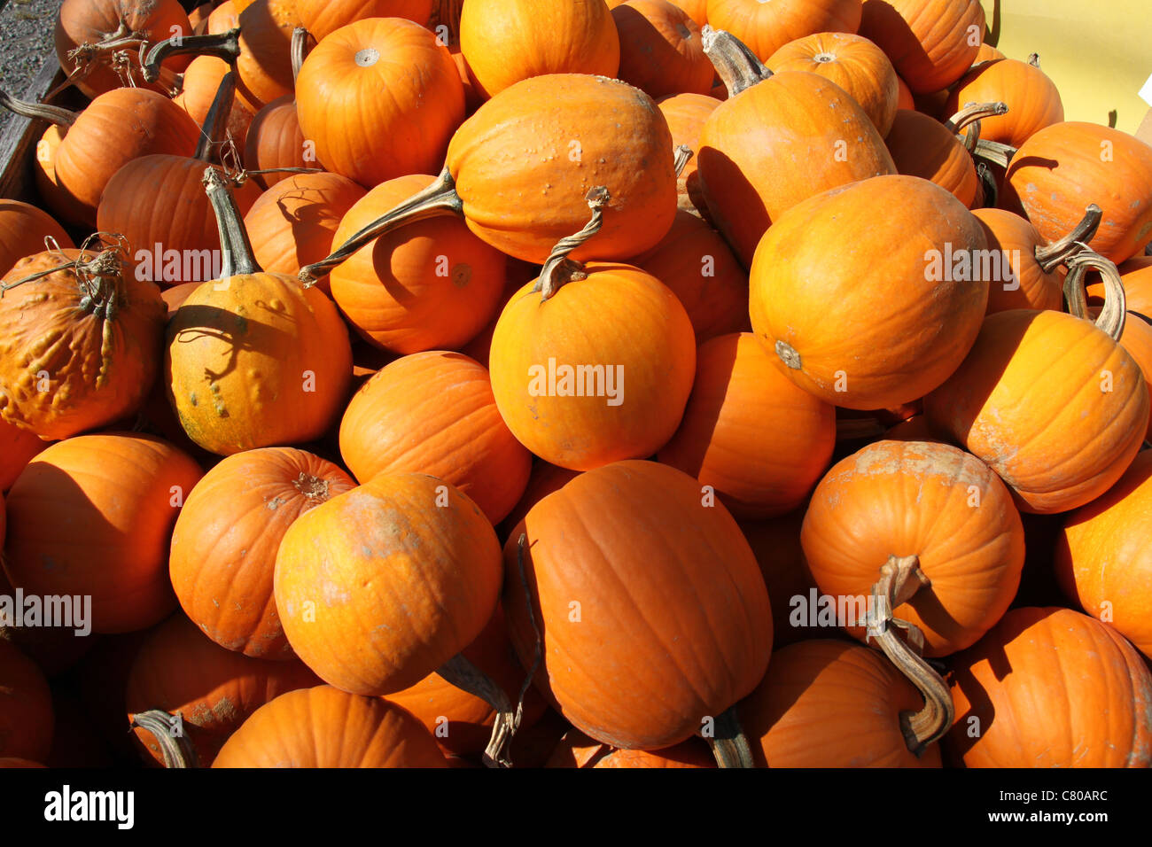 Pile of orange pumpkins at a farmers market Stock Photo