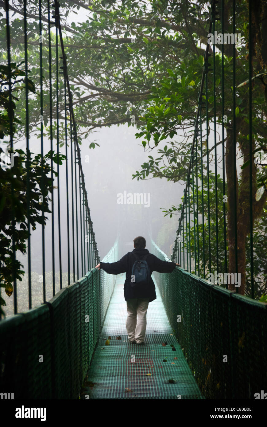 Hanging bridge at Selvatura Park. Monteverde Cloud Forest Preserve. Puntarenas province, Costa Rica. Central America. Stock Photo