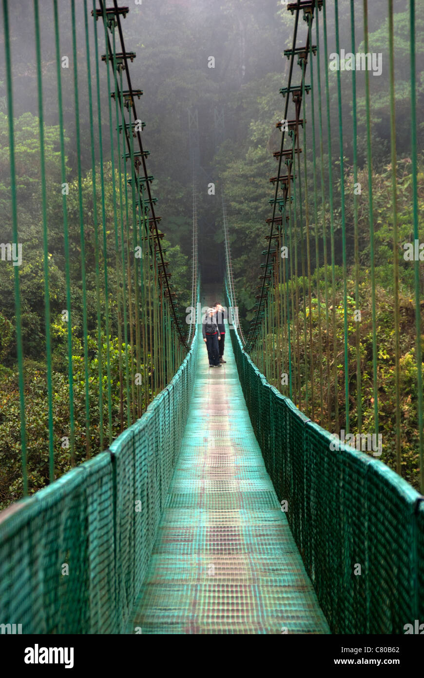Hanging bridge at Selvatura Park. Monteverde Cloud Forest Preserve ...