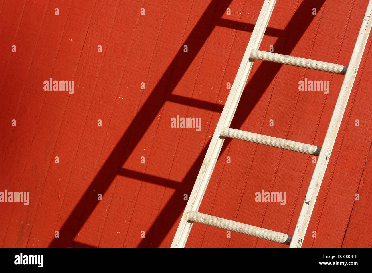 Vivid A 10 Ft Ladder Is Resting Against The Wall Landscape for Your Screen Vivid A 10 Ft Ladder Is Resting Against The Wall Landscape for Your Screen