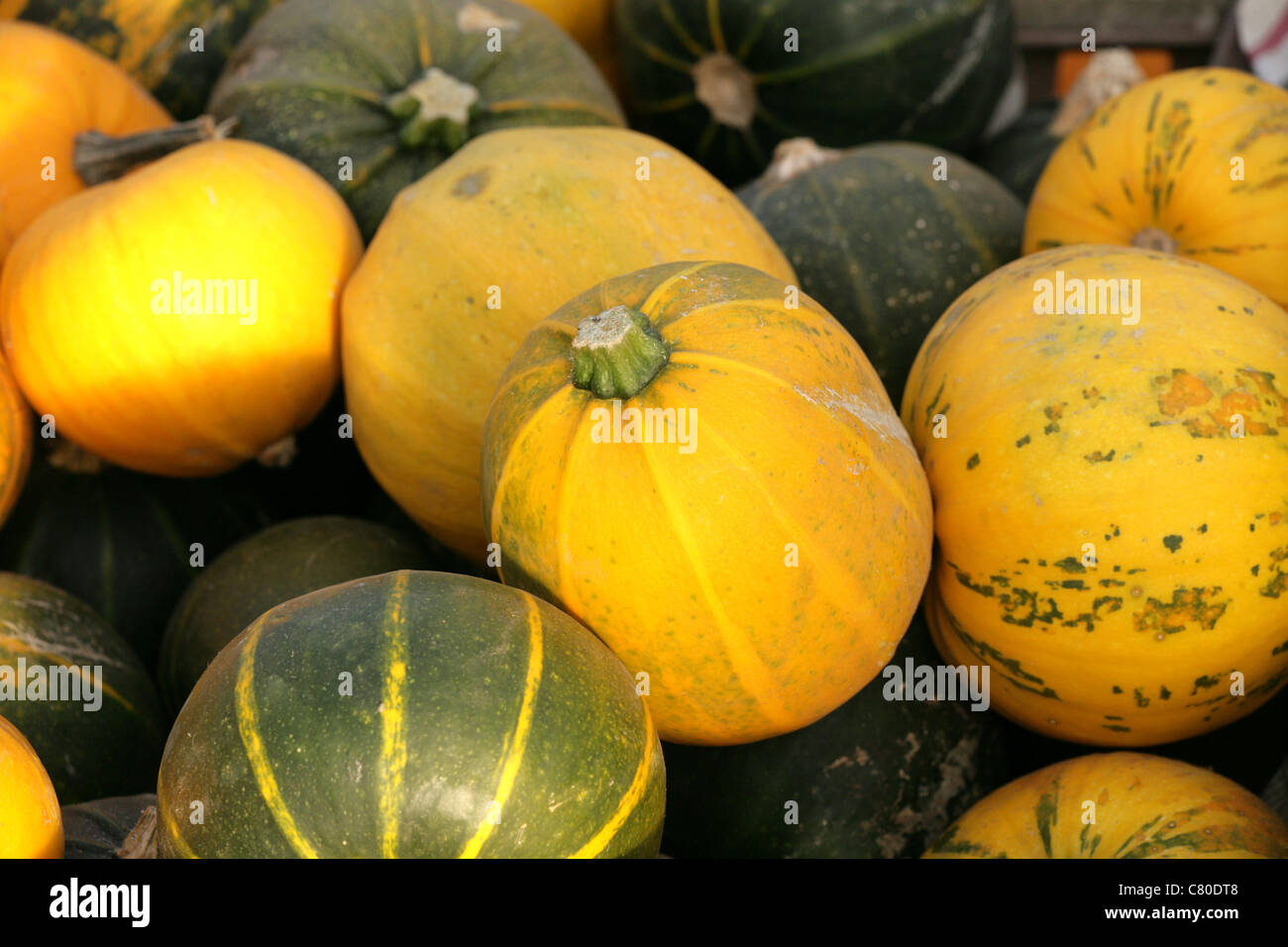 yellow and green squash in a pile Stock Photo Alamy