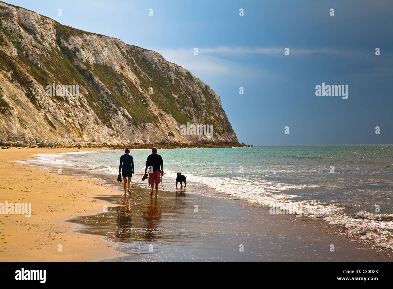 A couple walking their dog along a sandy beach at low tide, Sandown on
