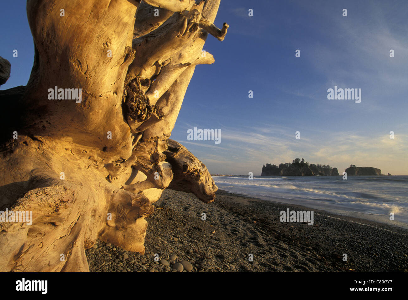 USA, North America, Washington State, Olympic Park, Rialto Beach. Stock Photo