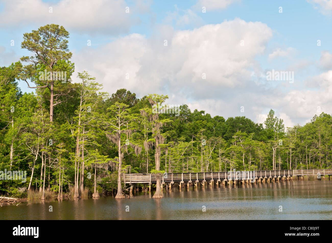 Alabama, Theodore, Bellingrath Gardens and Home, Bayou Boardwalk Stock