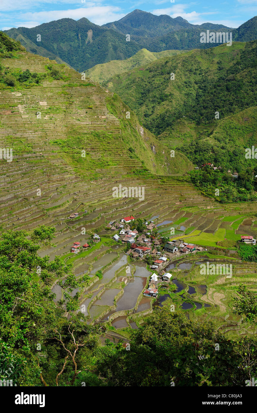 Philippines, Luzon island, Banaue ricefields Stock Photo