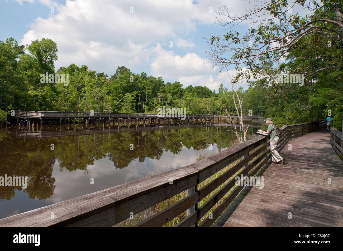 Alabama, Theodore, Bellingrath Gardens and Home, Bayou Boardwalk Stock