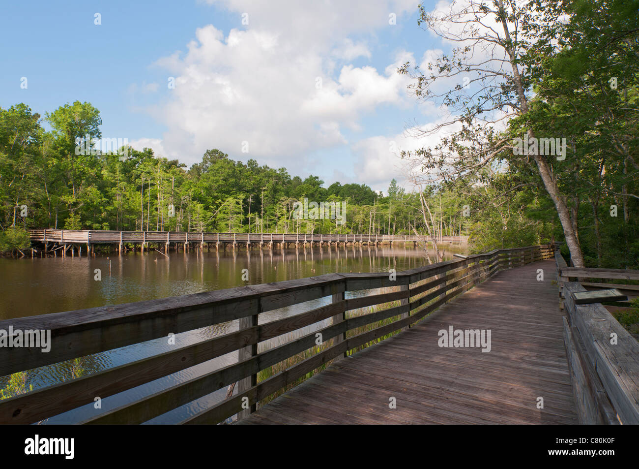 Alabama, Theodore, Bellingrath Gardens and Home, Bayou Boardwalk Stock