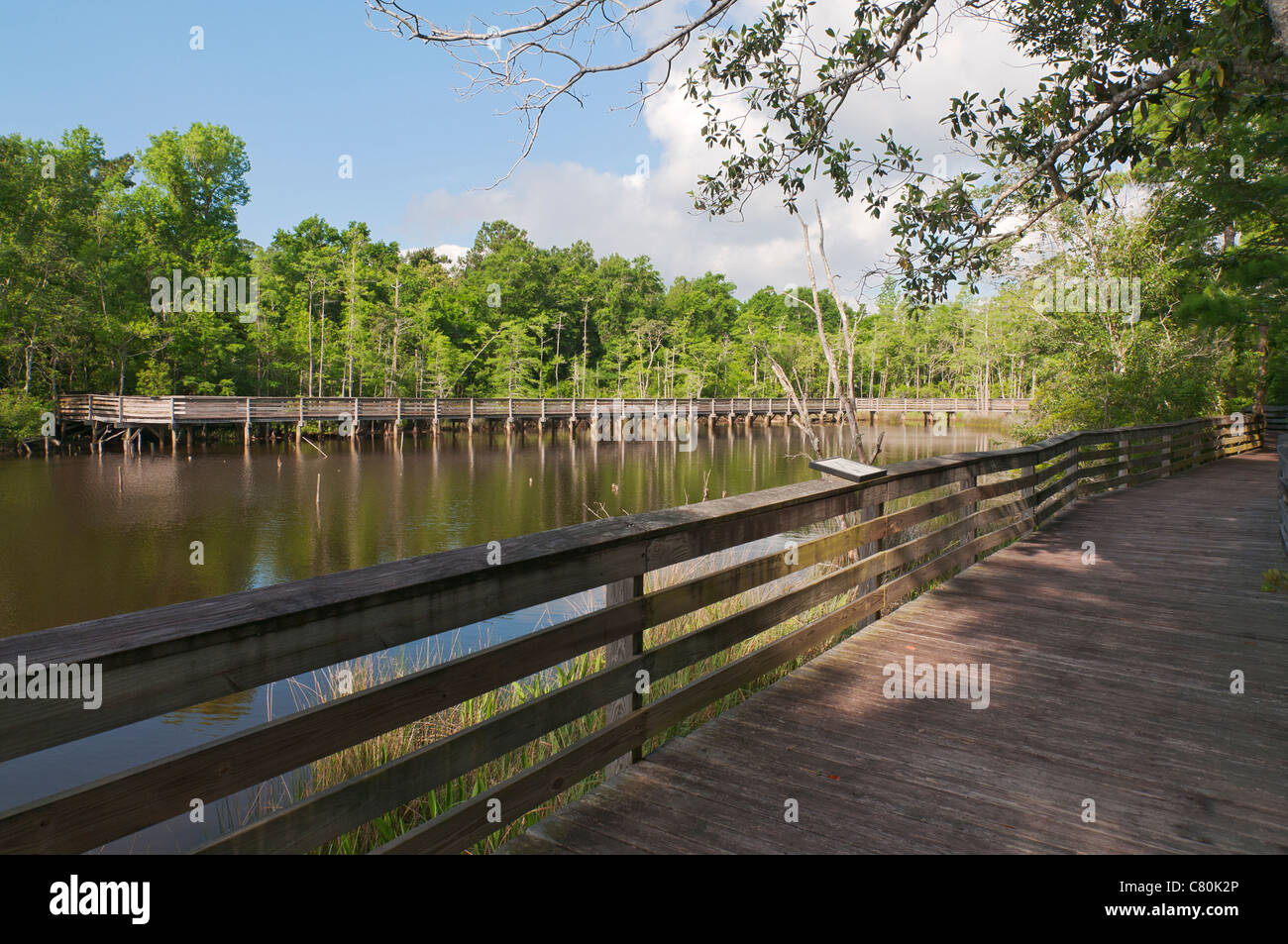 Alabama, Theodore, Bellingrath Gardens and Home, Bayou Boardwalk Stock