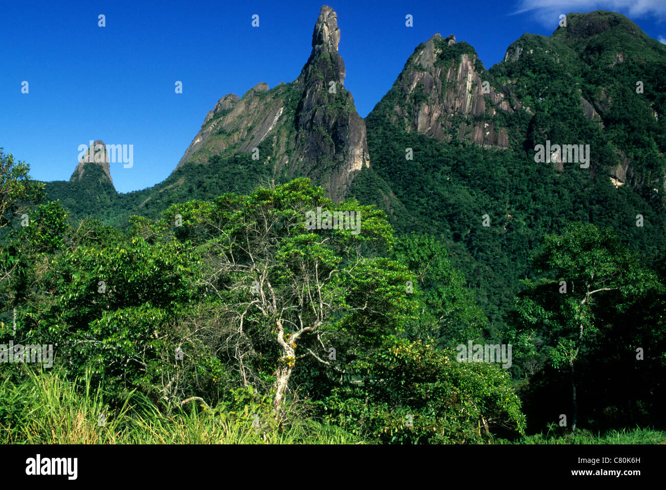 Portaria Do Parque Nacional Da Serra Dos Órgãos Sede Em Petrópolis - Quebrando A - Foto 5