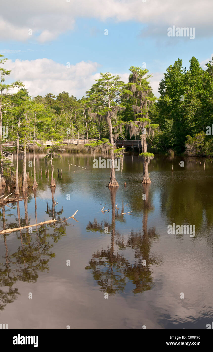 Alabama, Theodore, Bellingrath Gardens and Home, Bayou Boardwalk, view