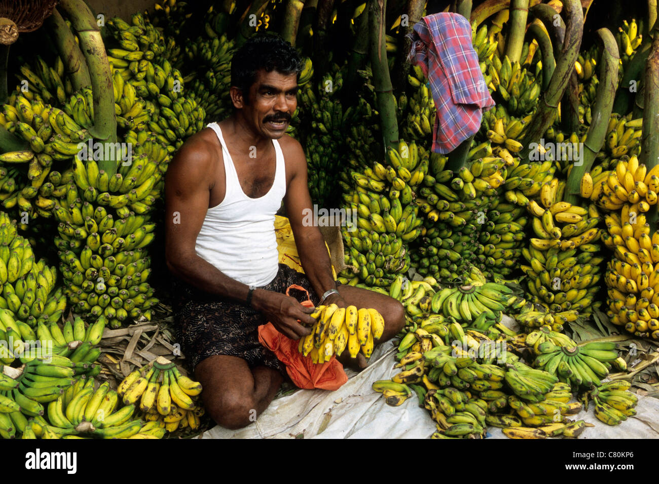 India, Tamil Nadu, Chettinad, Kundiakkudi Village, Market Stock Photo