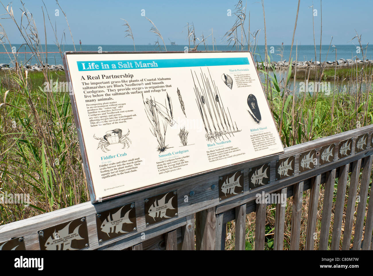 Alabama, Dauphin Island, The Estuarium at the Dauphin Island Sea Lab