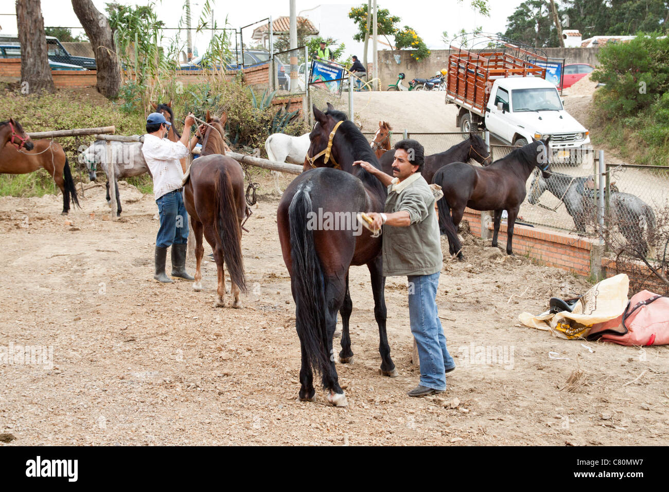 Men taking care of their horses in order to show them at the horses fair. Villa de Leyva, Boyacá, Colombia, South America Stock Photo