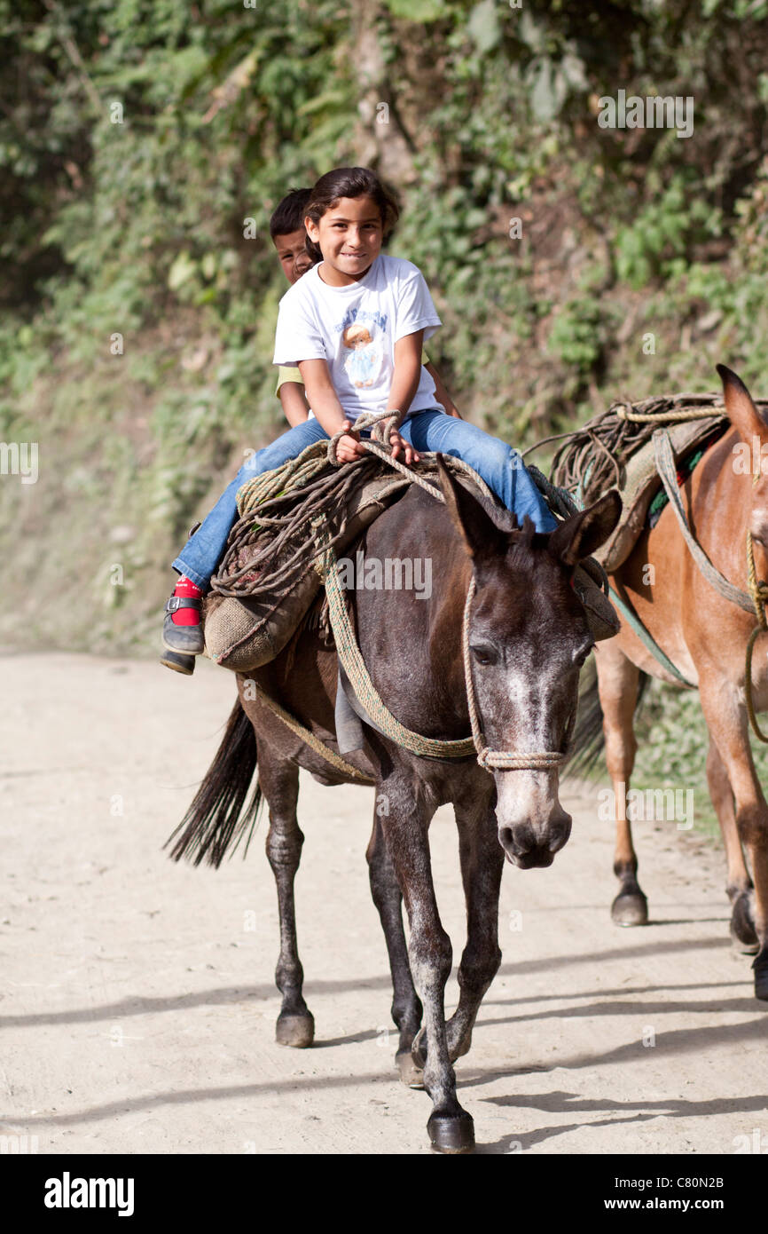 Children smiling riding an horse. Ibagué, Tolima, Colombia, South America Stock Photo