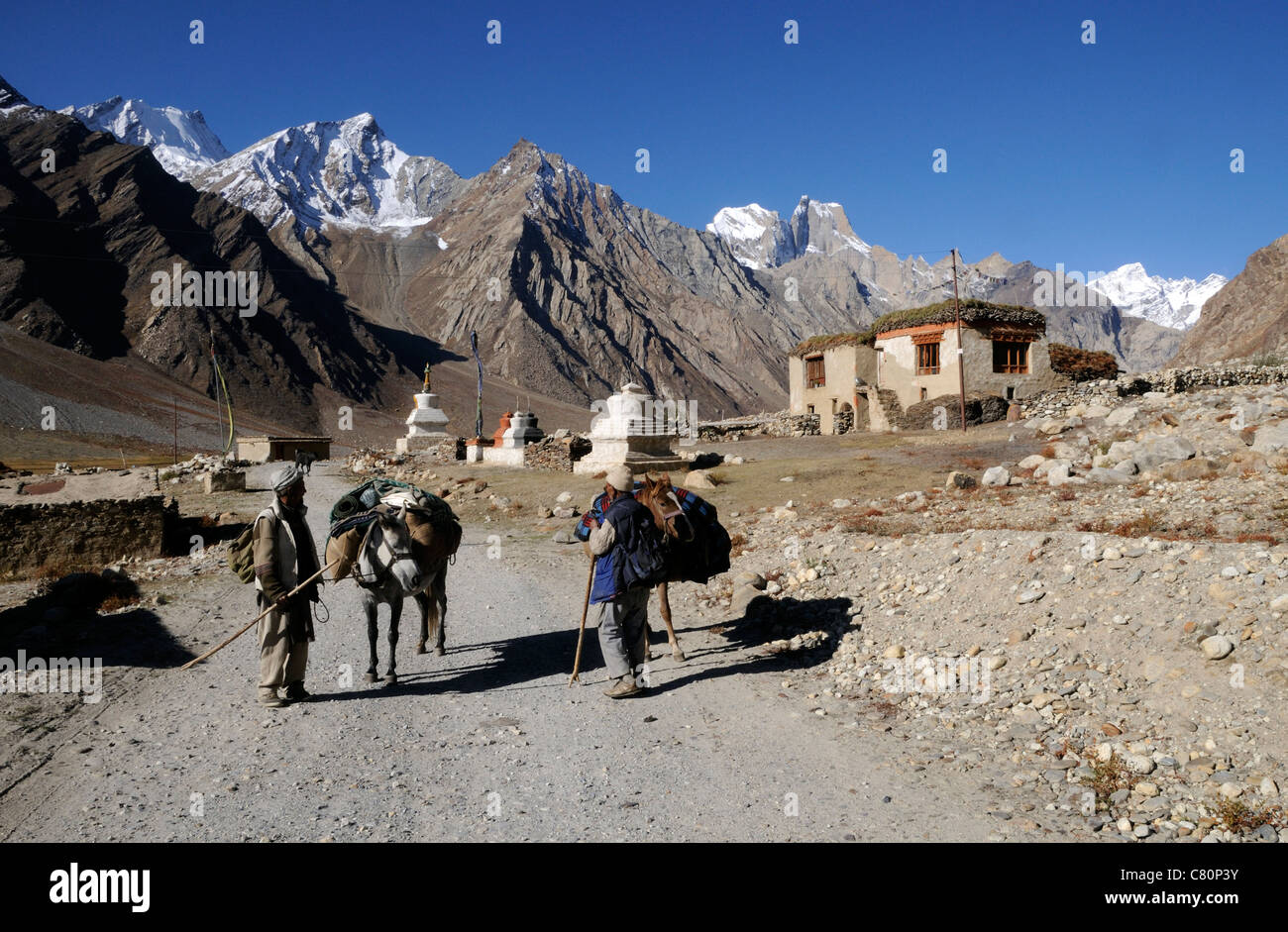 Travellers with pack horses on  the road from Kargil into the Zanskar valley. Panikhar, Zanskar , Ladakh. Stock Photo