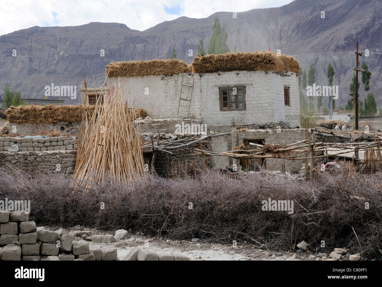 A traditional flat-roofed house in the Nubra Valley, Ladakh. Hay for winter fodder is stored on the roof . Stock Photo
