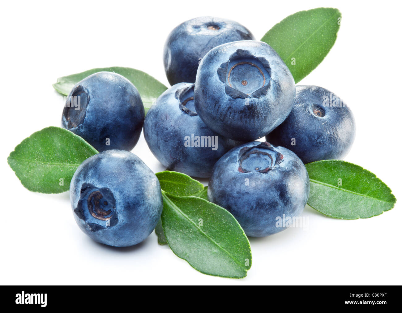 Blueberries with leaves on white background. Stock Photo