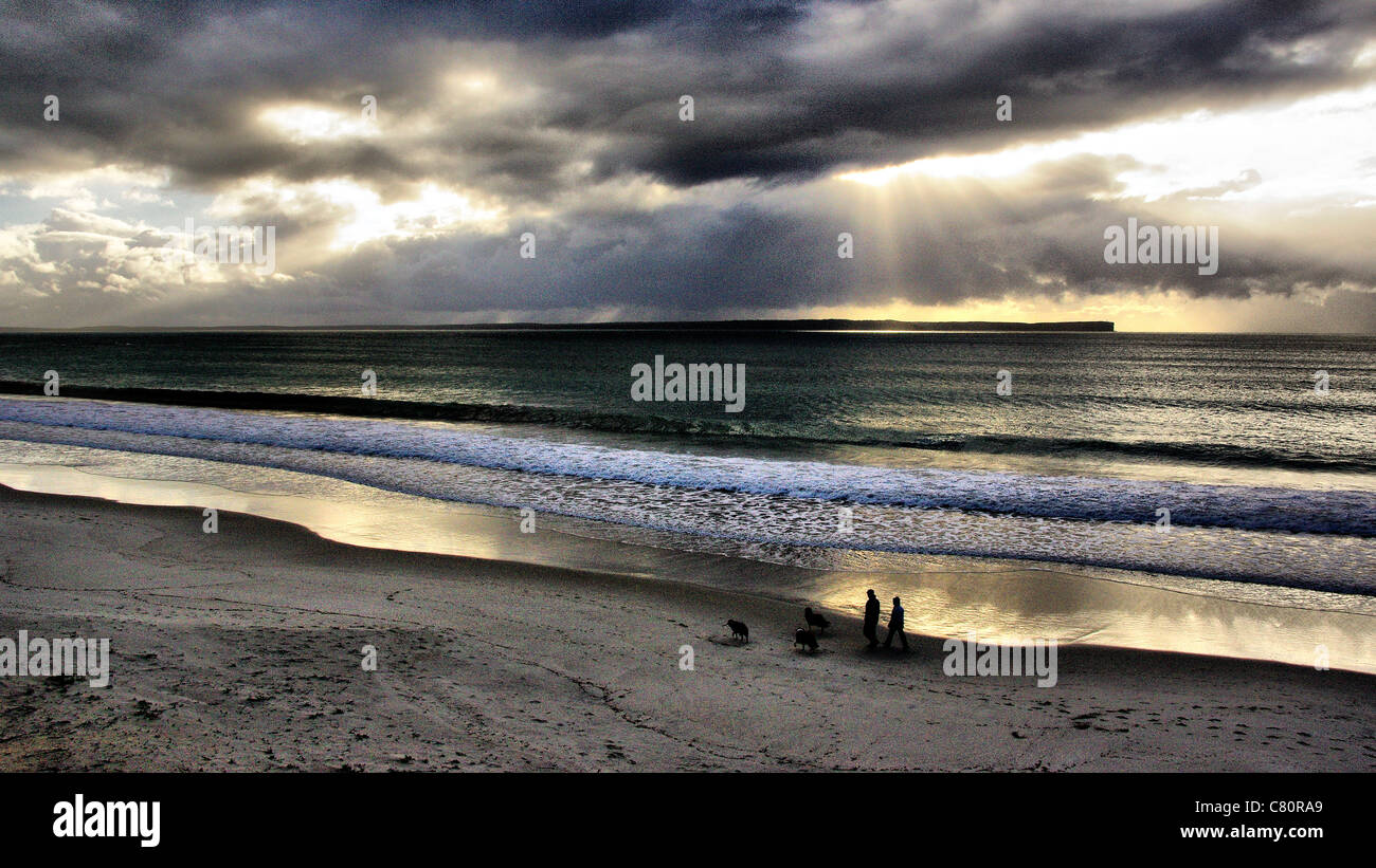 Beams of light through clouds Couple walking dogs on beach Stock Photo