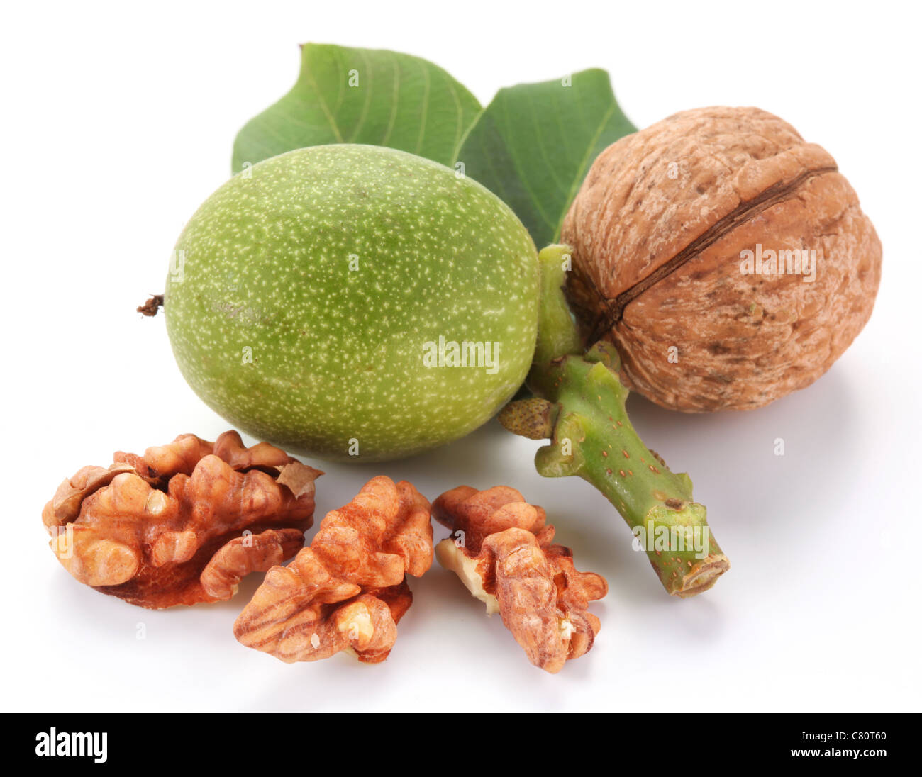 Green walnut; peeled walnut and its kernels. Isolated on a white background. Stock Photo