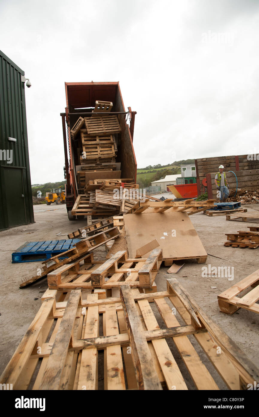 A skip lorry dumping a load of wooden pallets for recycling at a waste management yard, UK Stock