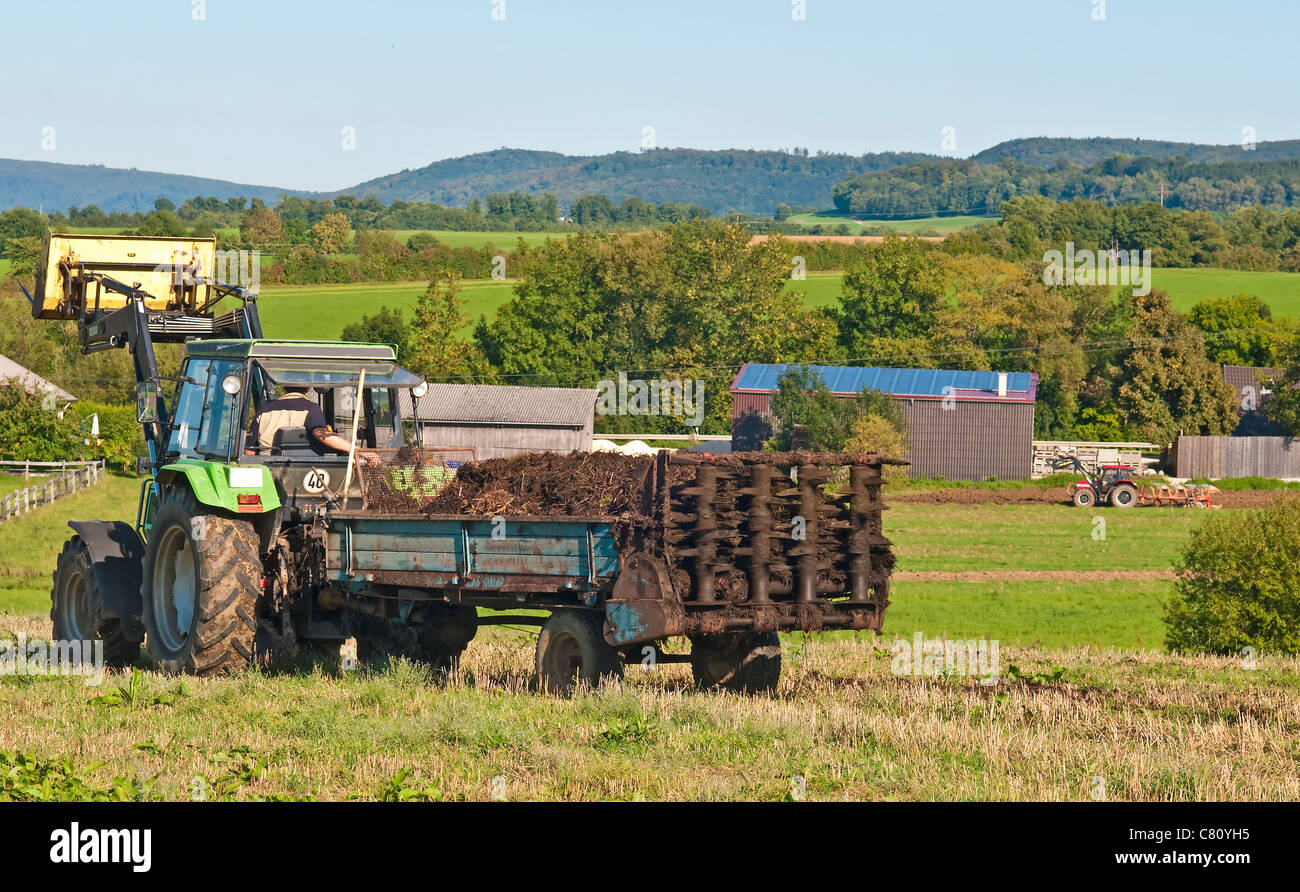 Agriculture cow dung hi-res stock photography and images - Alamy