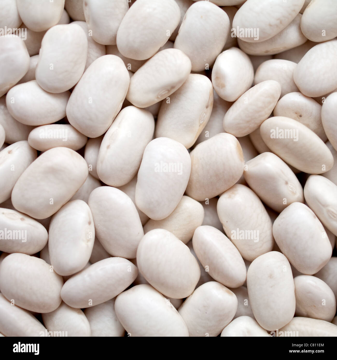 background with white haricot beans Stock Photo Alamy
