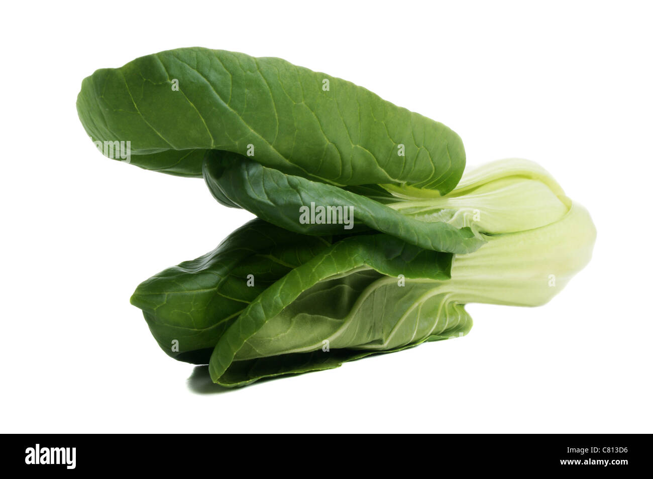 Pok Choi freshly cleaned on a bright background Stock Photo