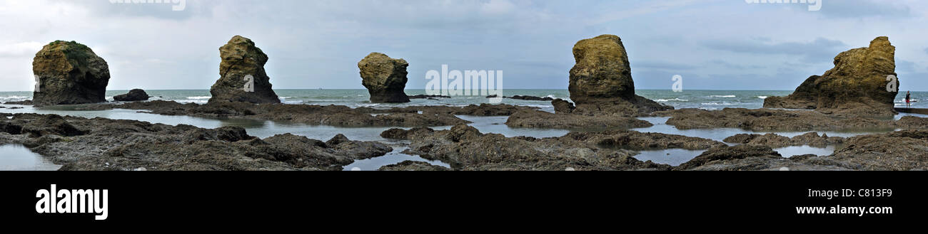Sea plage des cinq pineaux hi-res stock photography and images - Alamy