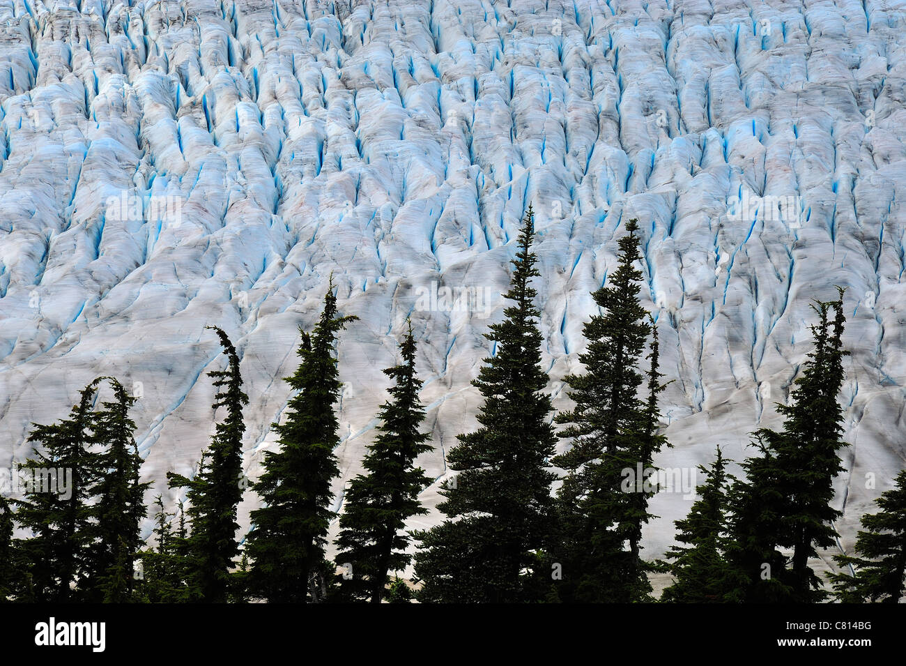 A close up image of the blue ice of the Salmon Glacier near Stewart British Columbia Canada Stock Photo