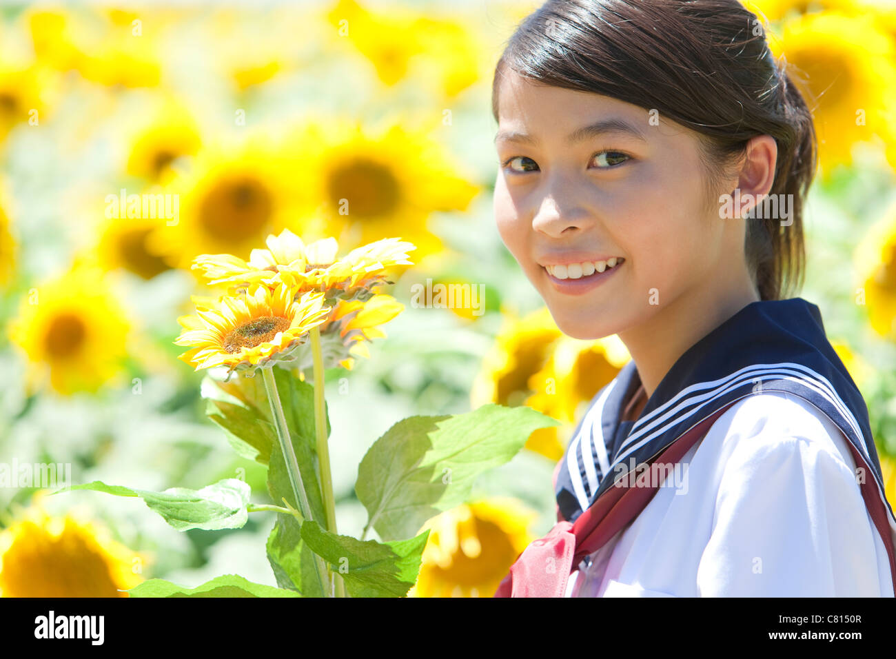 Girl in Sunflower Field Stock Photo - Alamy