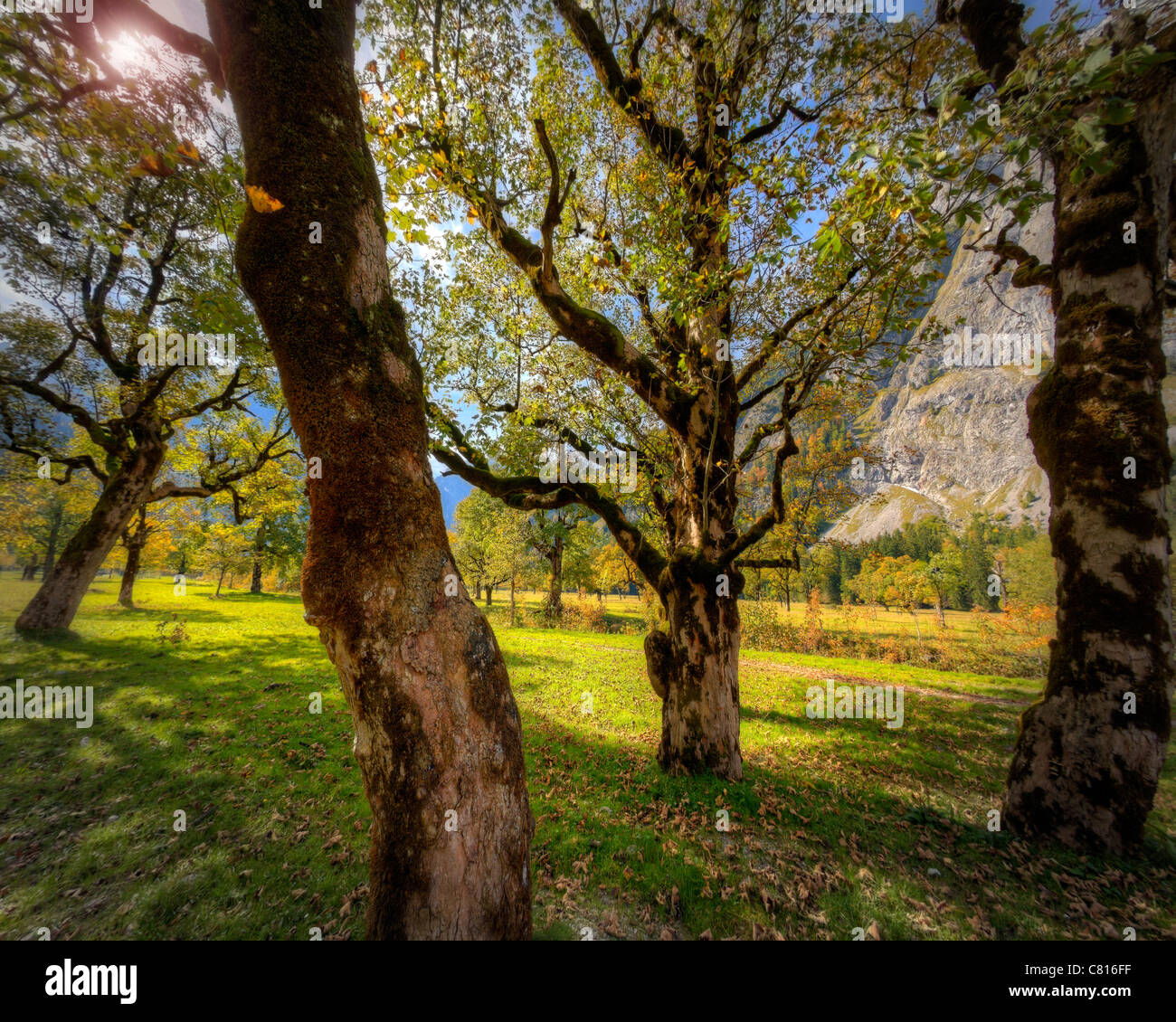 AT - TYROL: Autumn at Grosser Ahornboden Stock Photo