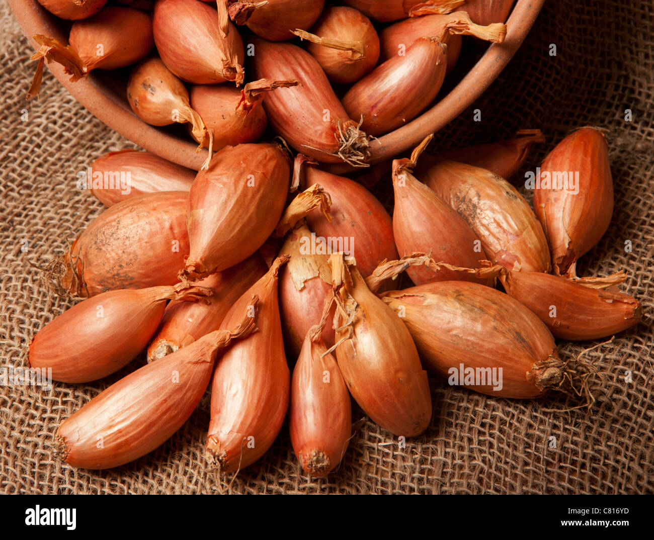 Organic Longor and Pesandor shallots in terracotta bowl Stock Photo