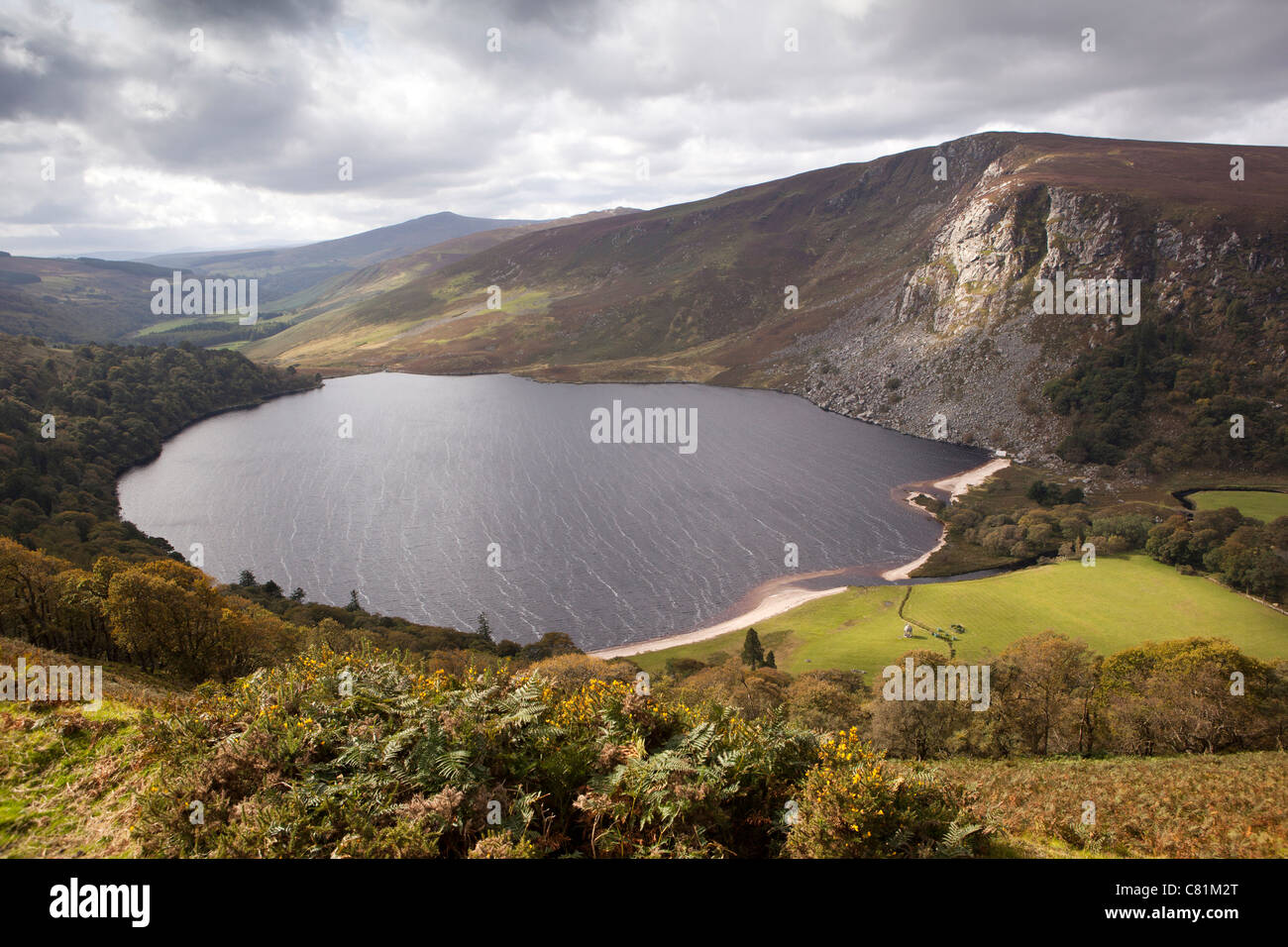 Lago 2025 guinness irlanda