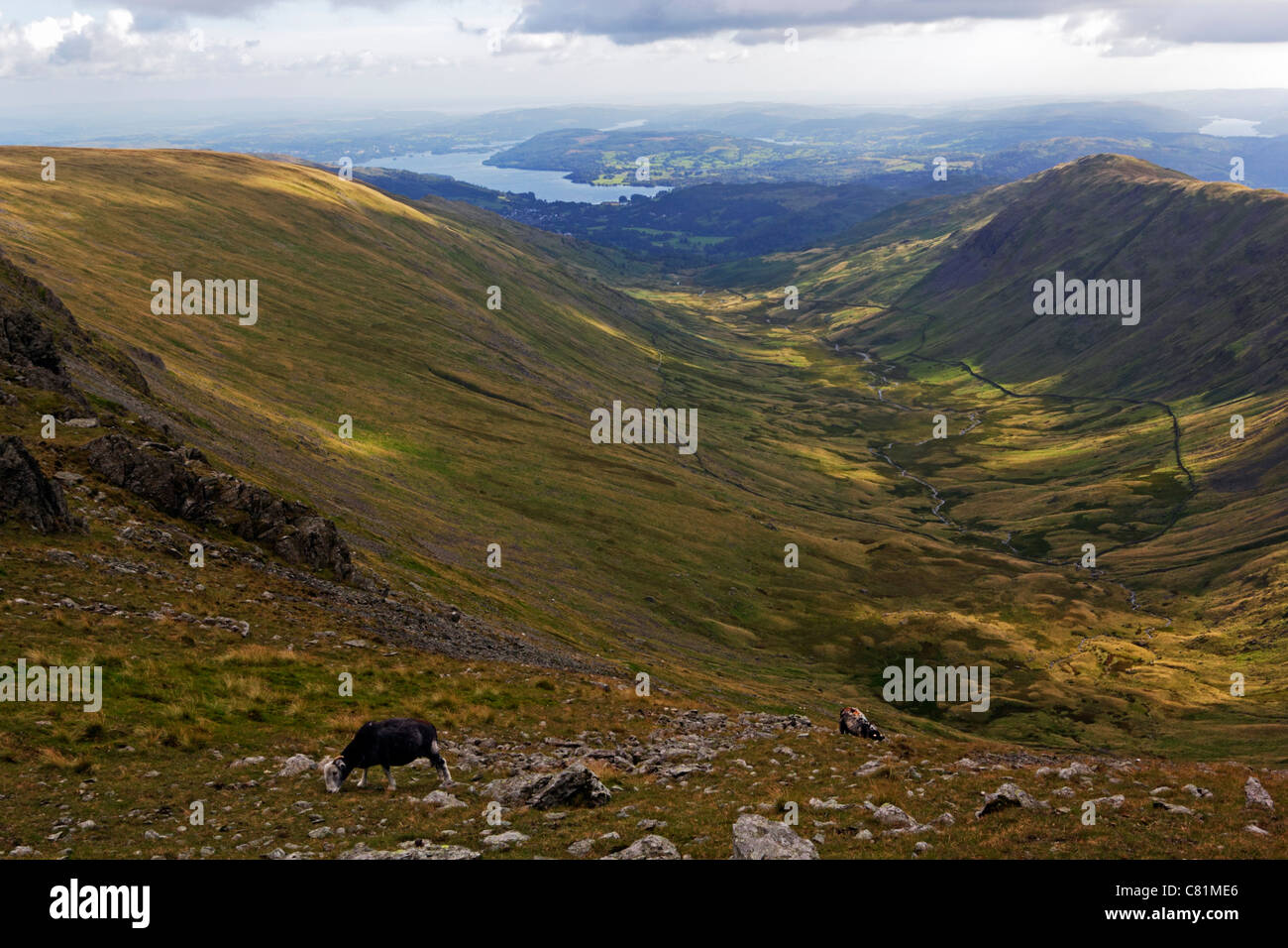 Looking down Rydal Valley towards Windermere in the Lake District National Park, Cumbria. Stock Photo