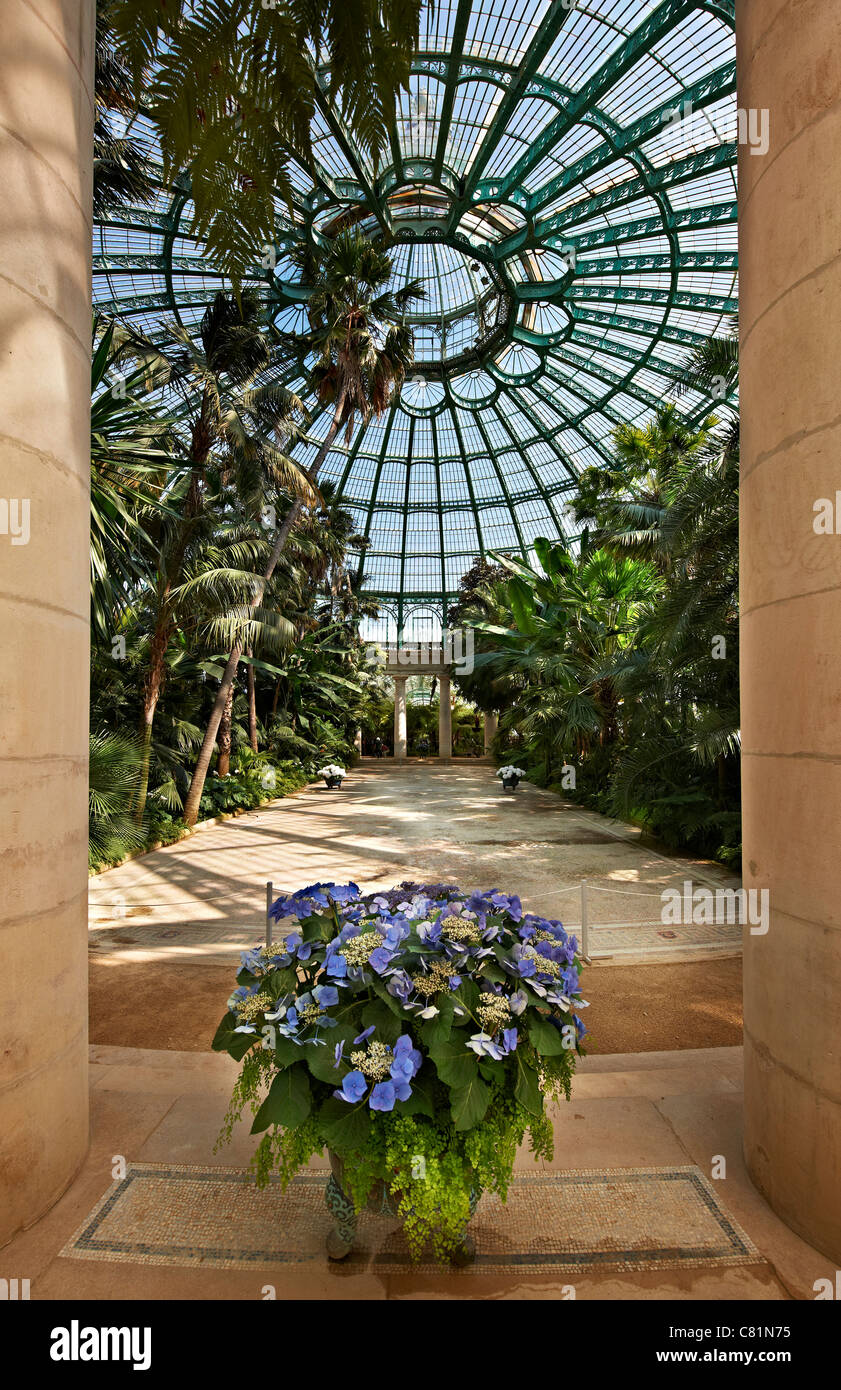 interior view of "Jardin d'hiver", Royal Greenhouses of Laeken, Royal  Castle of Laeken, Brussels, Belgium, Europe Stock Photo - Alamy